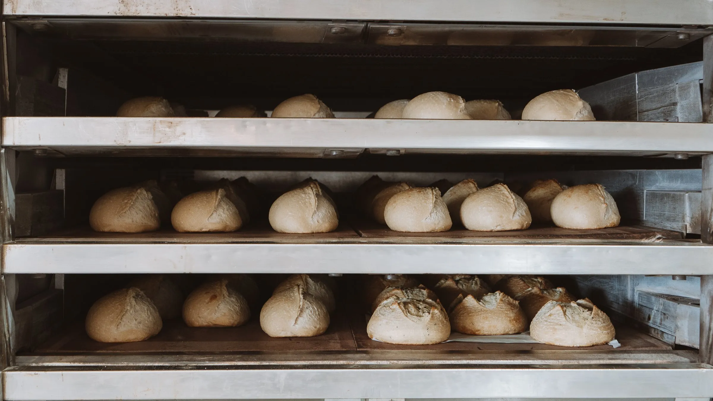 Sourdough loaves coming out of the oven at the bakehouse