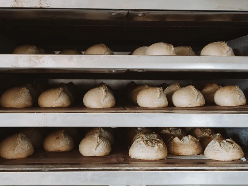 Sourdough boule